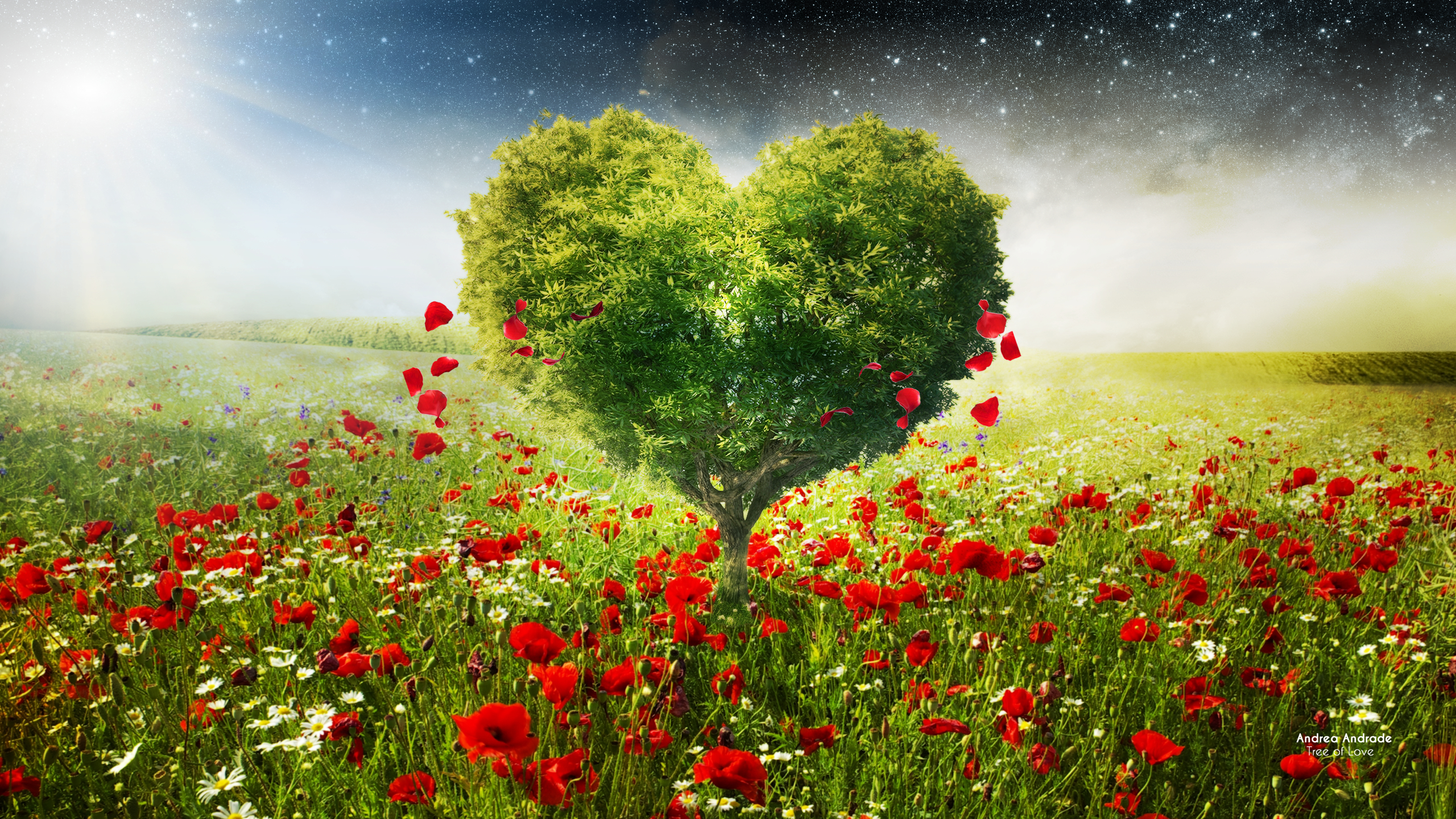 Green Love Heart Tree Poppies334609801